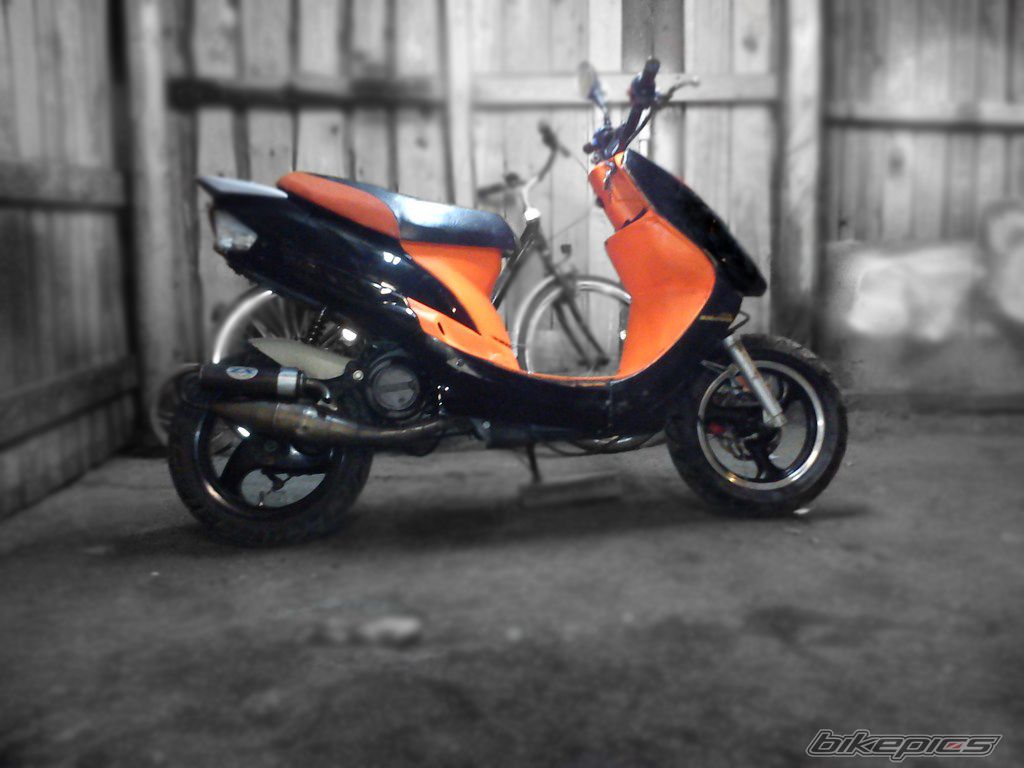 Photo 2378459