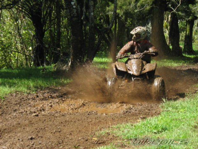 Photo 2378487