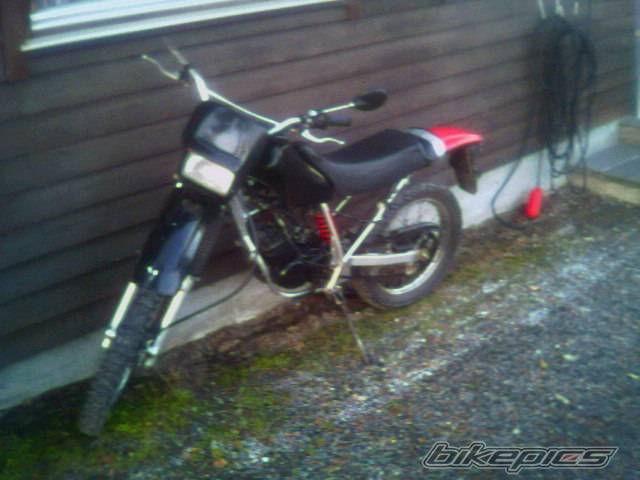 Photo 237851