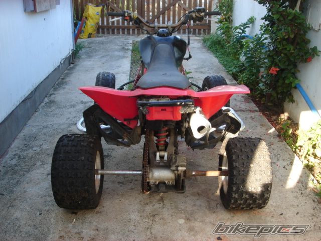 Photo 2378522