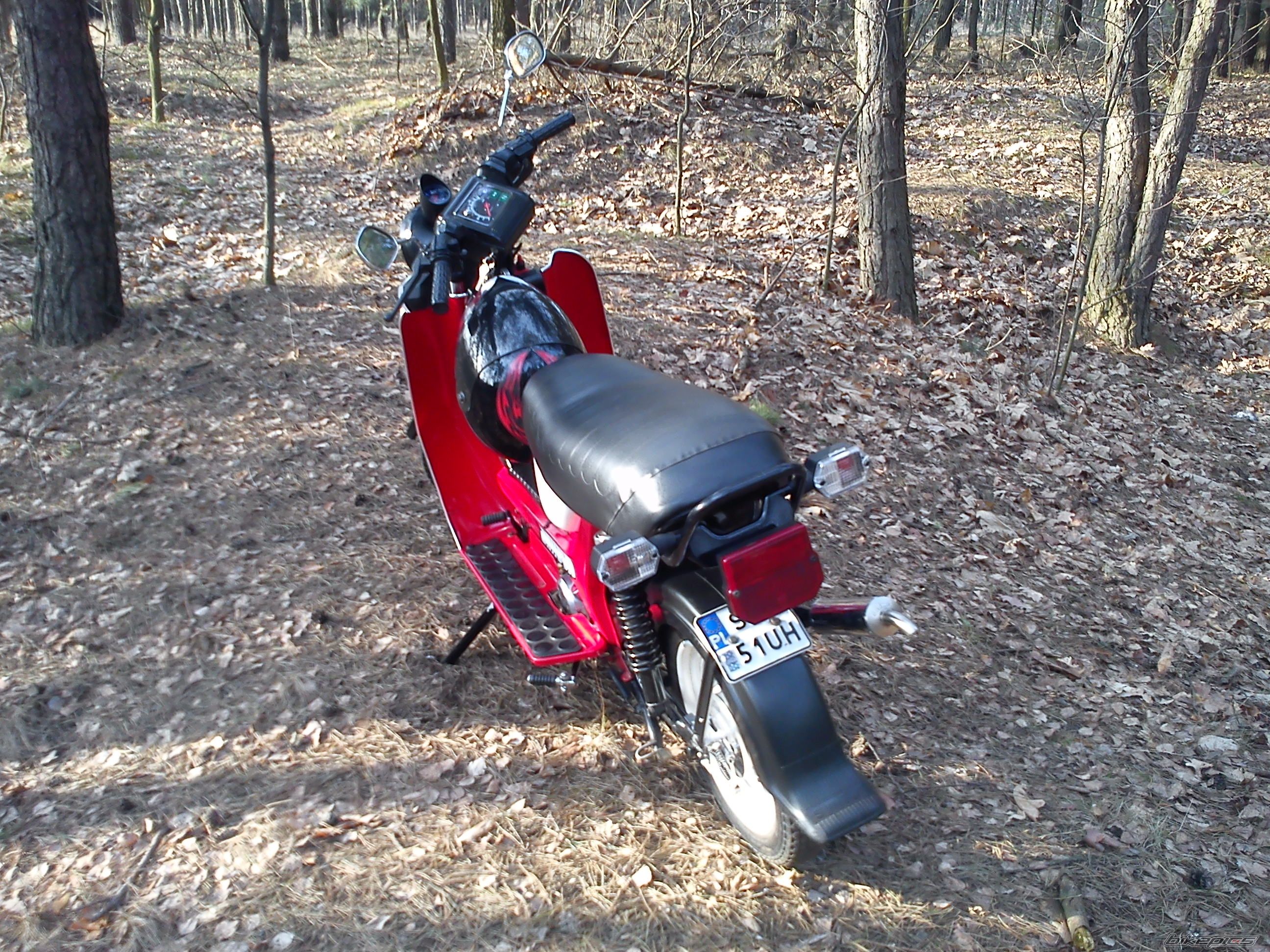 Photo 2378539