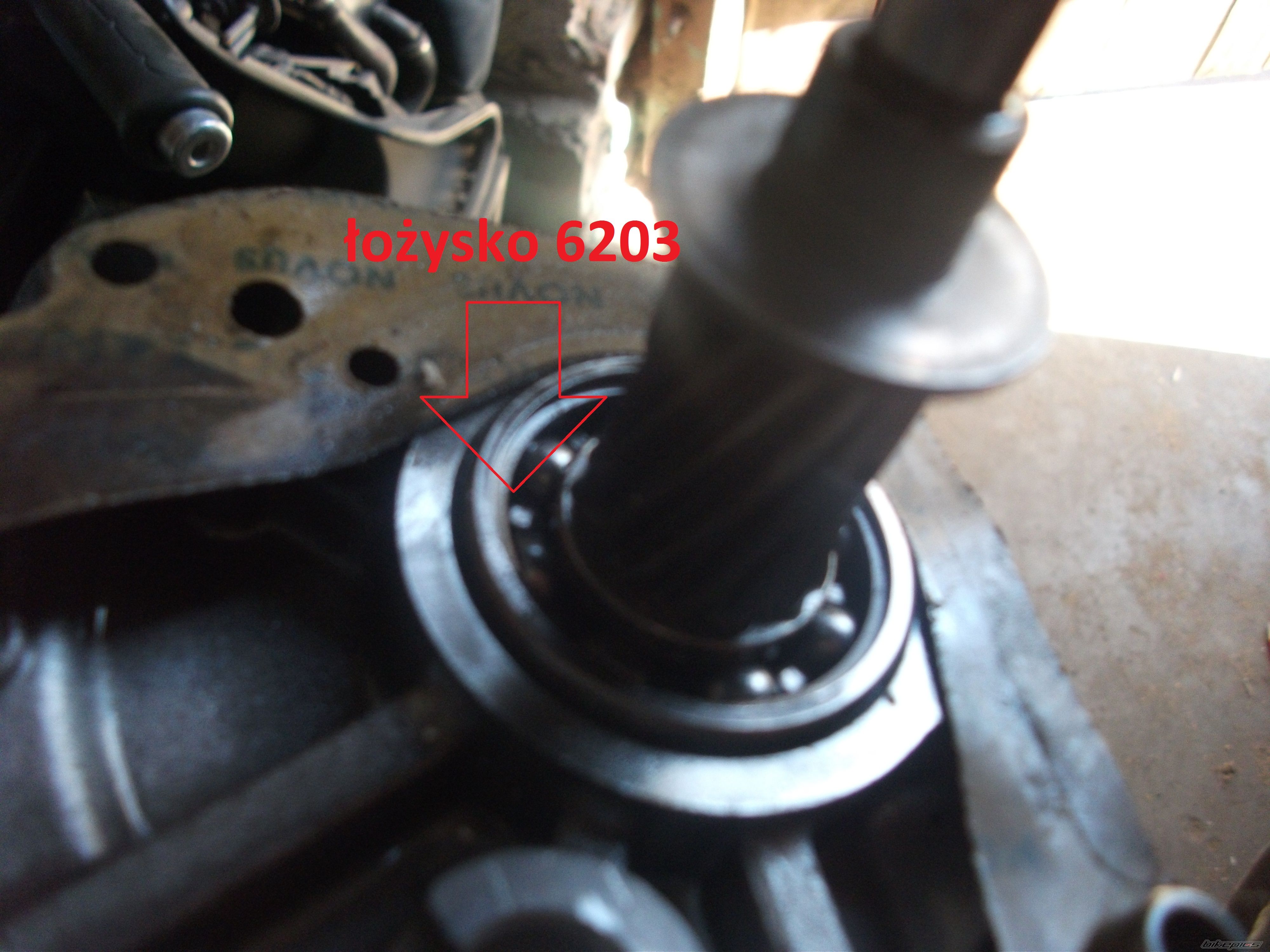 Photo 2378606