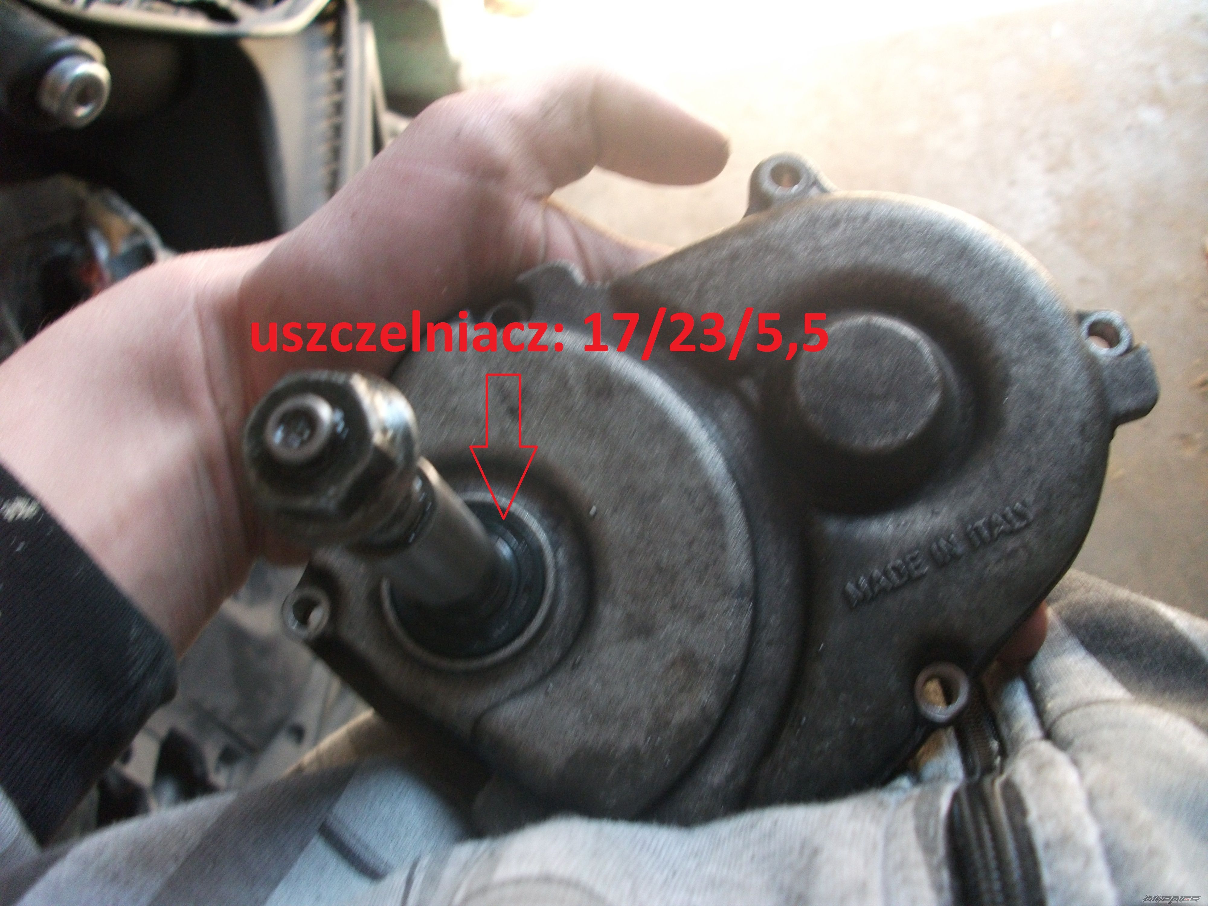 Photo 2378610