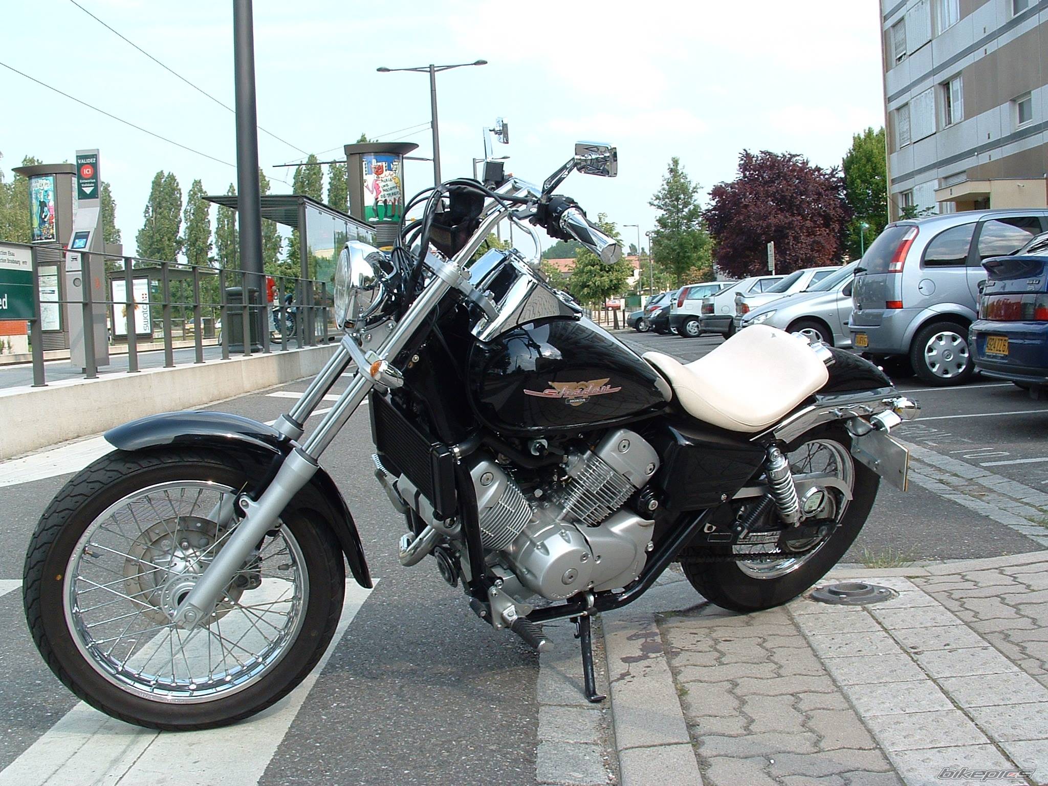 Photo 237865
