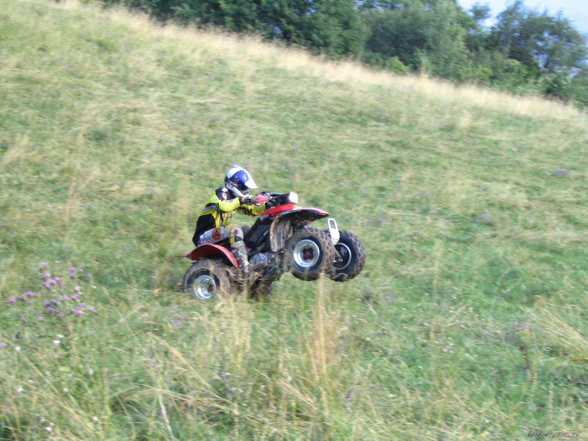 Photo 237873