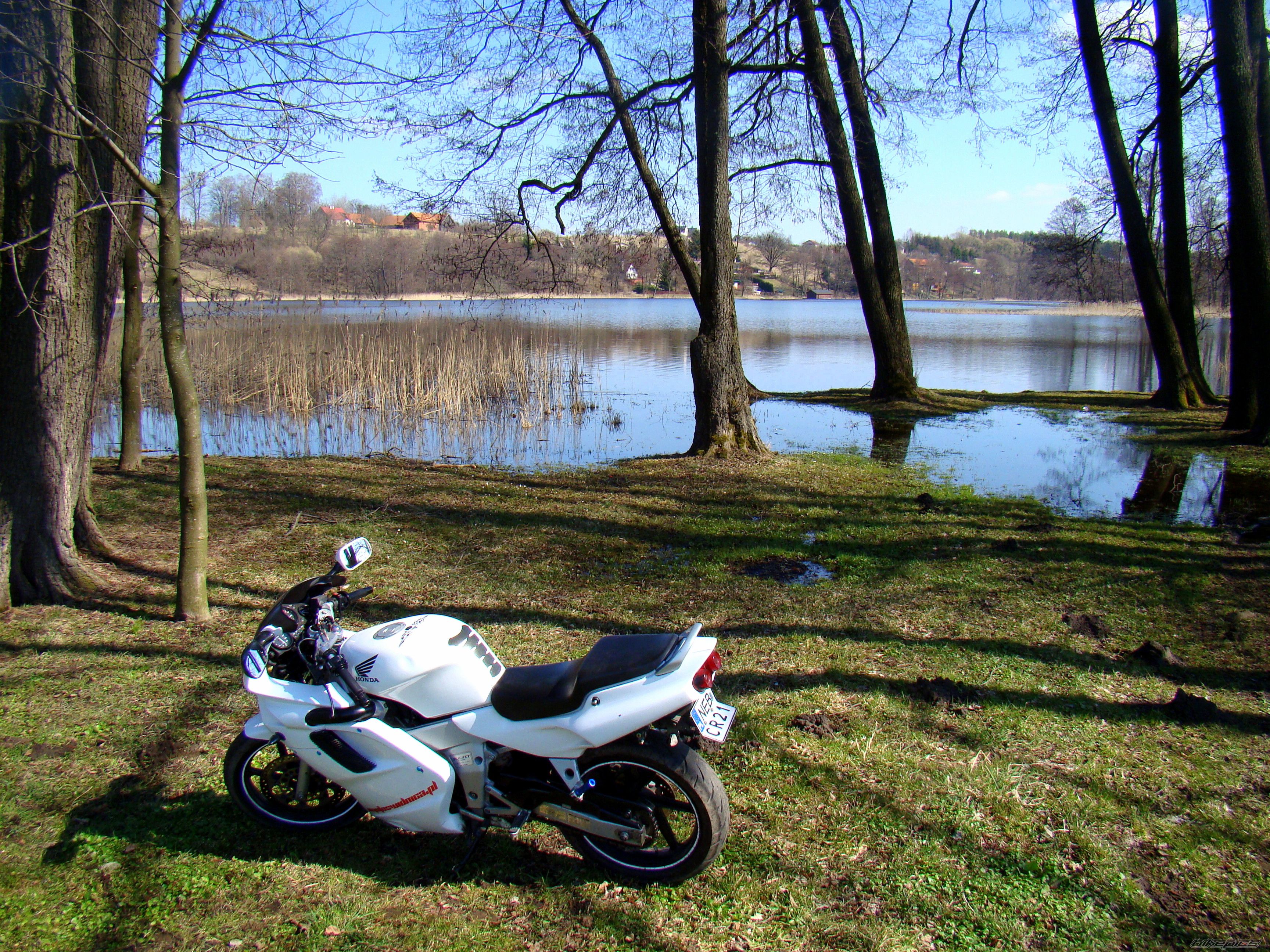 Photo 2378822