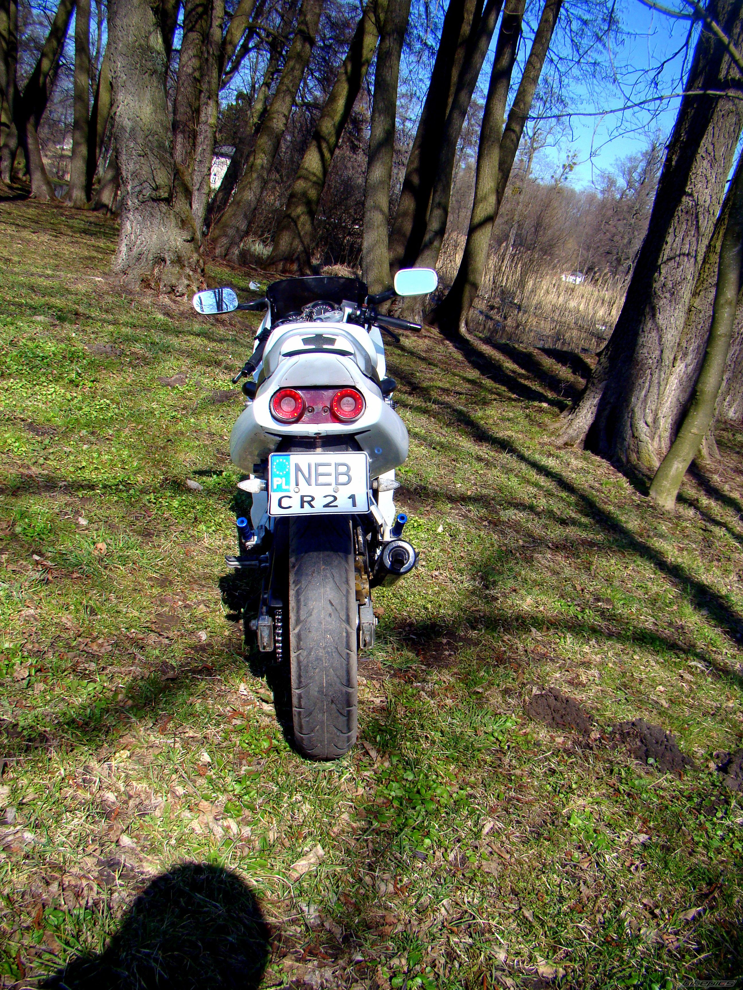 Photo 2378823