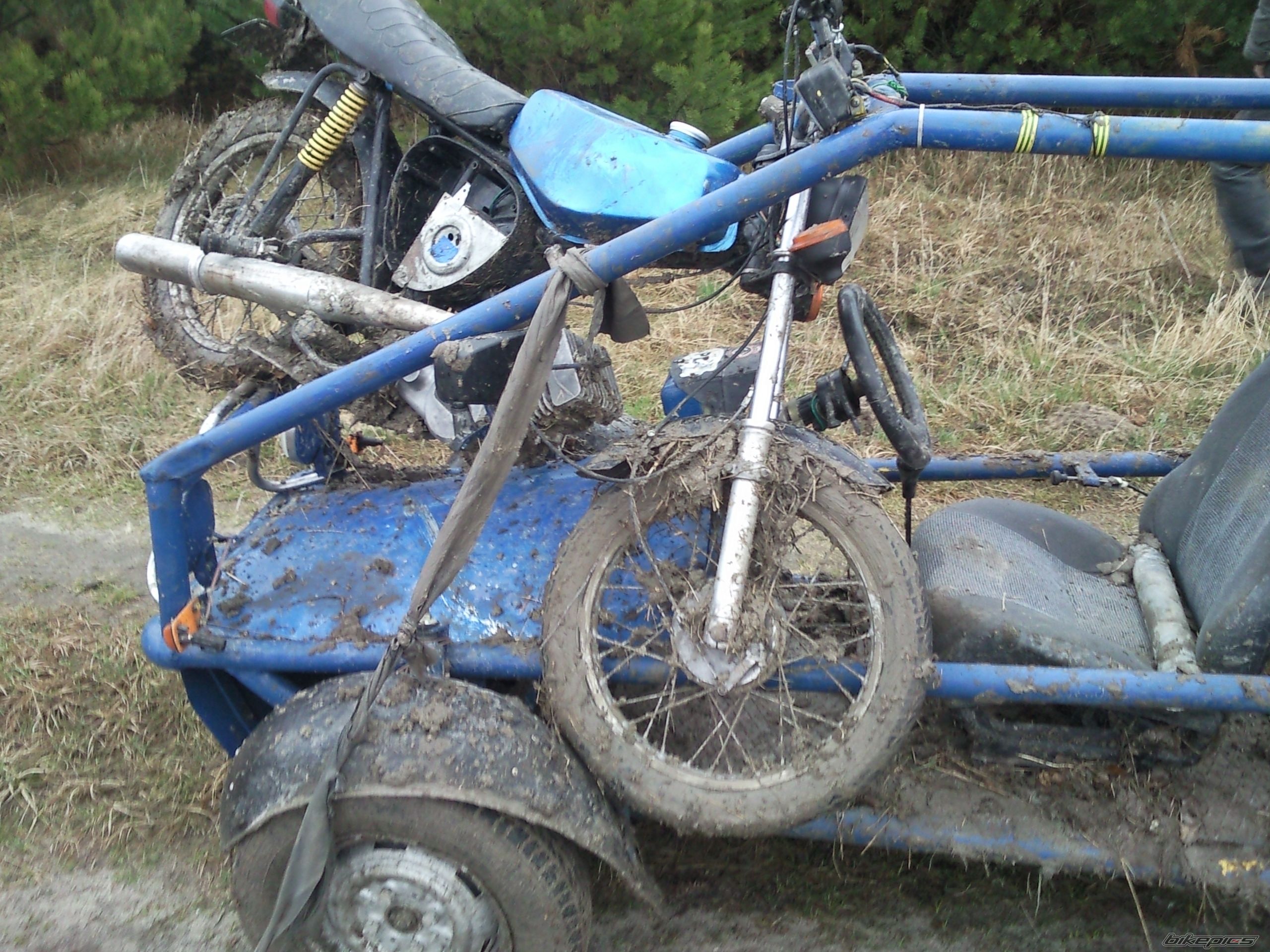 Photo 2378857