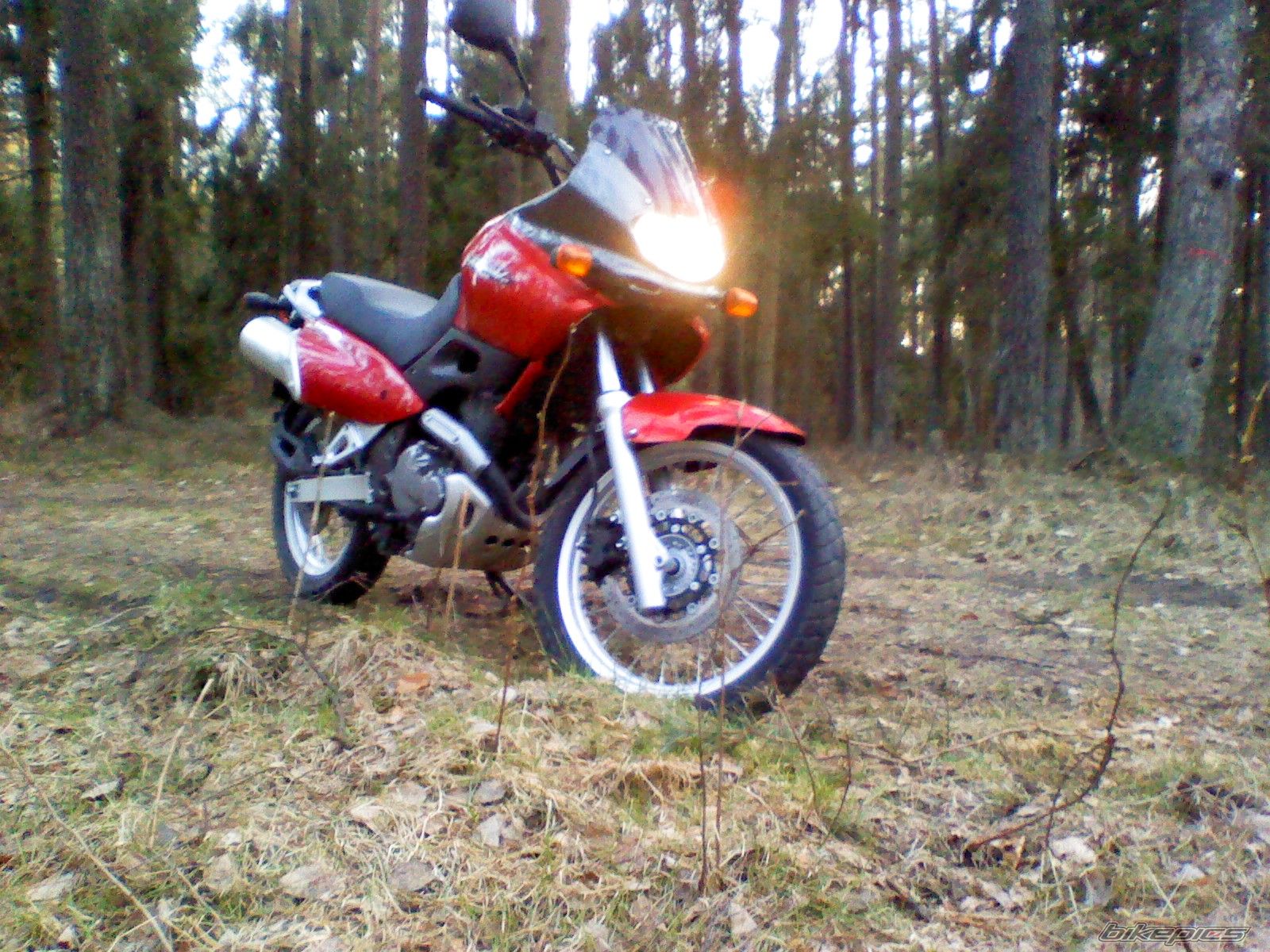 Bike Photo 2378889