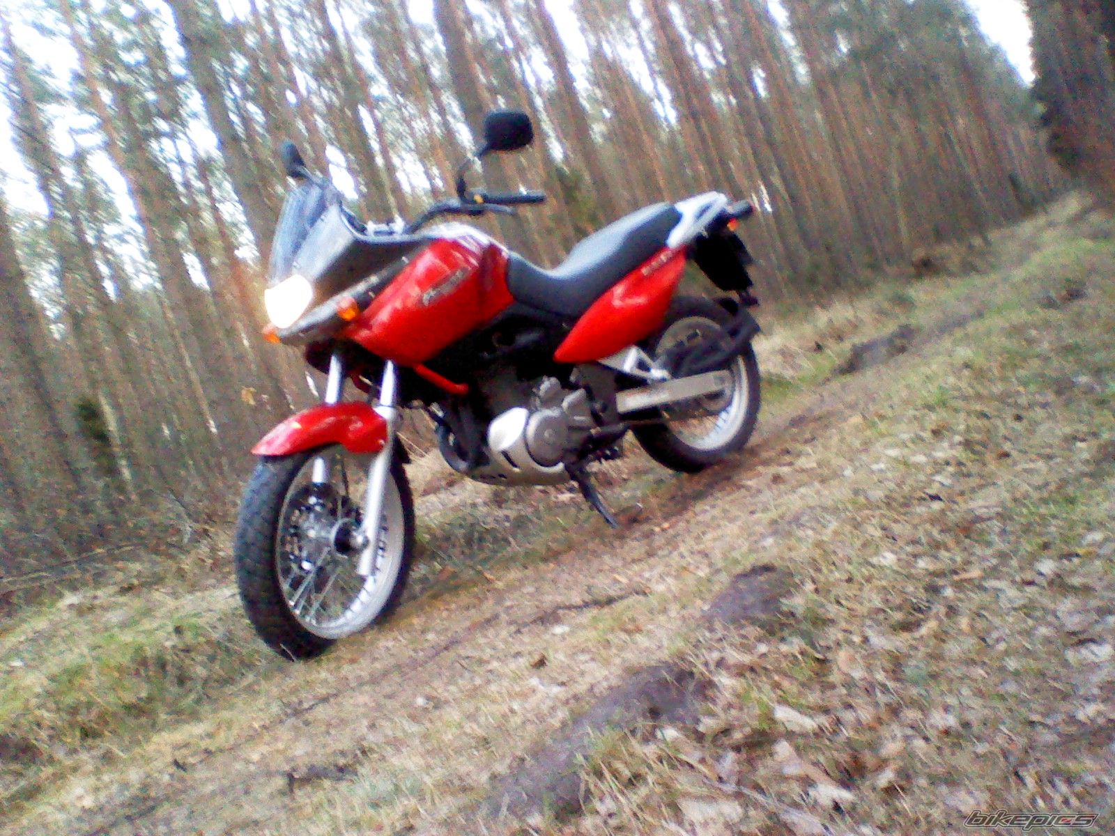 Photo 2378890