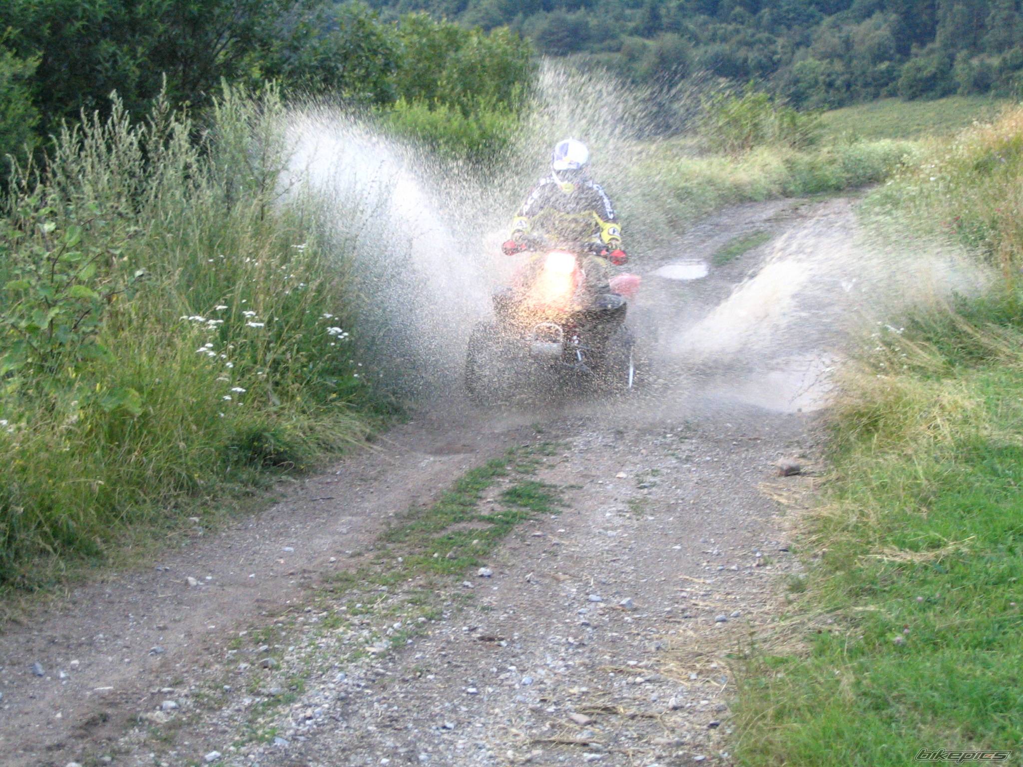 Photo 237890