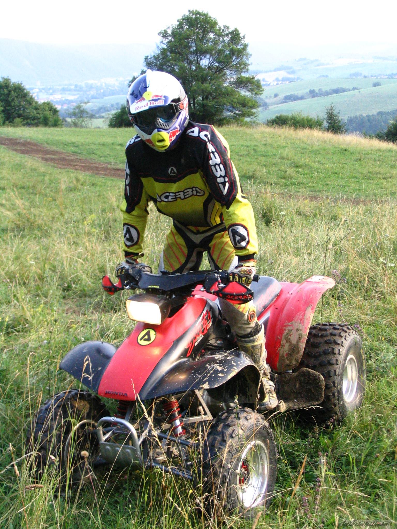 Photo 237891