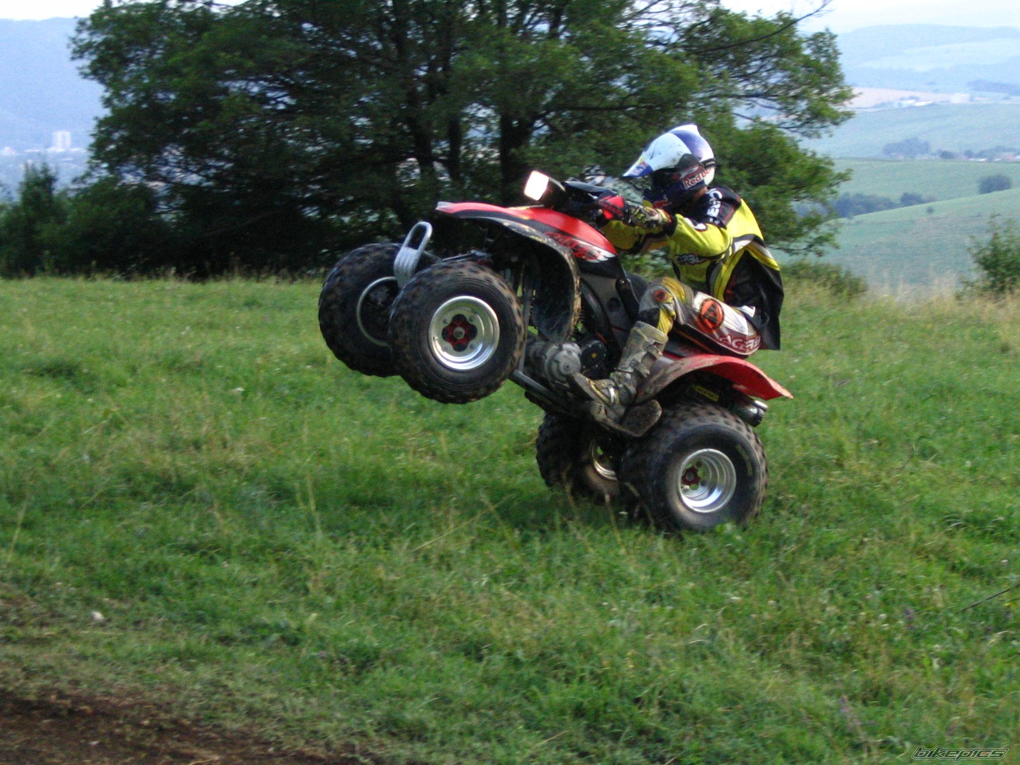 Photo 237892