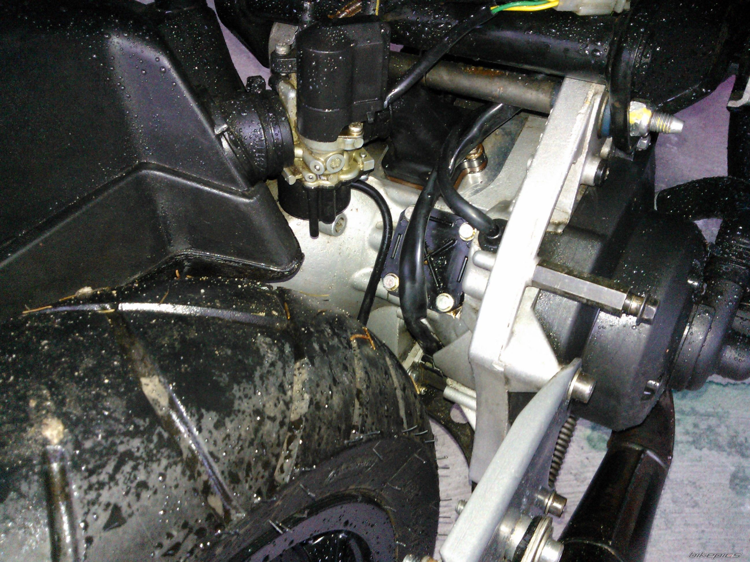 Photo 2378922