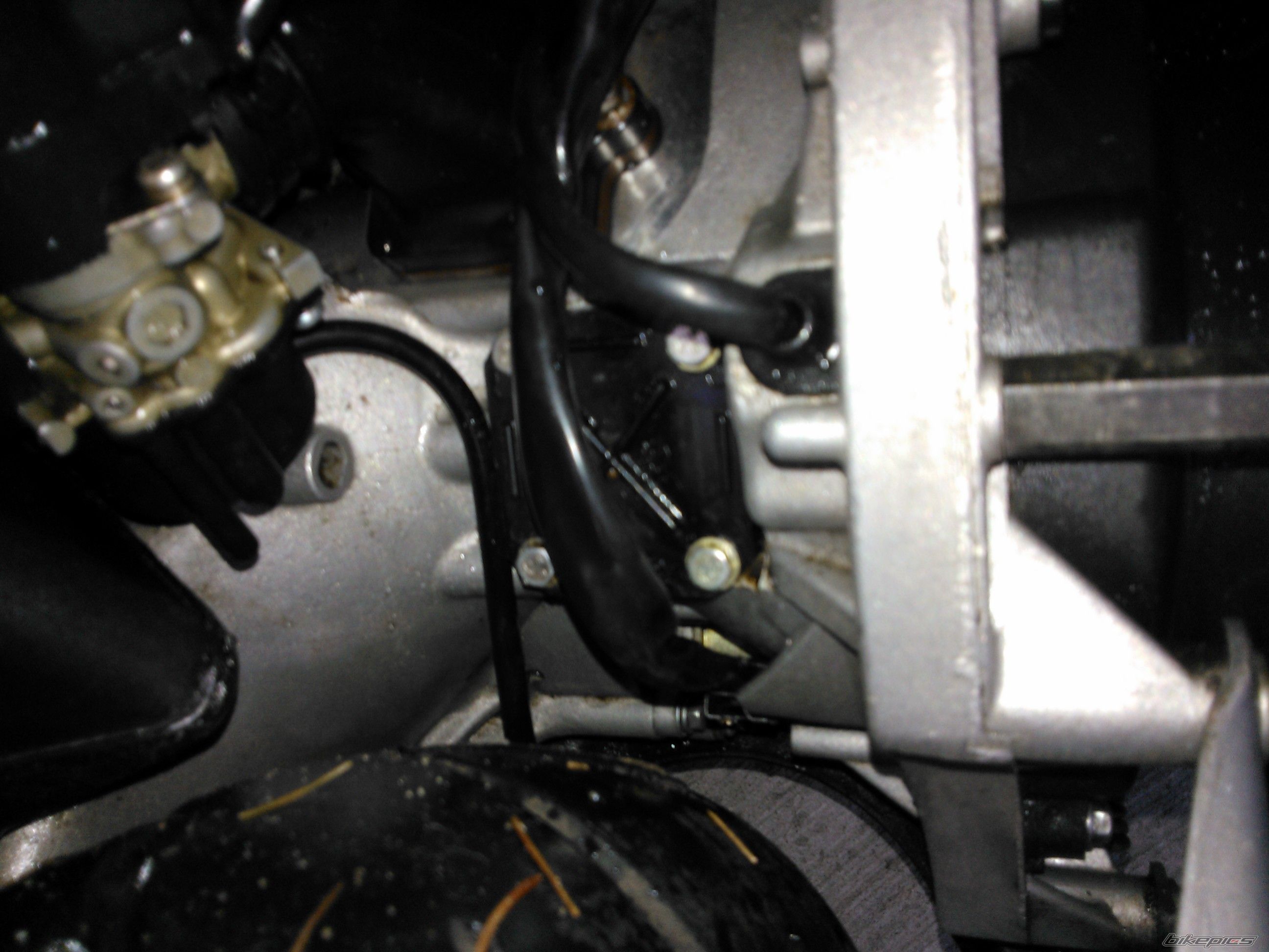 Photo 2378928