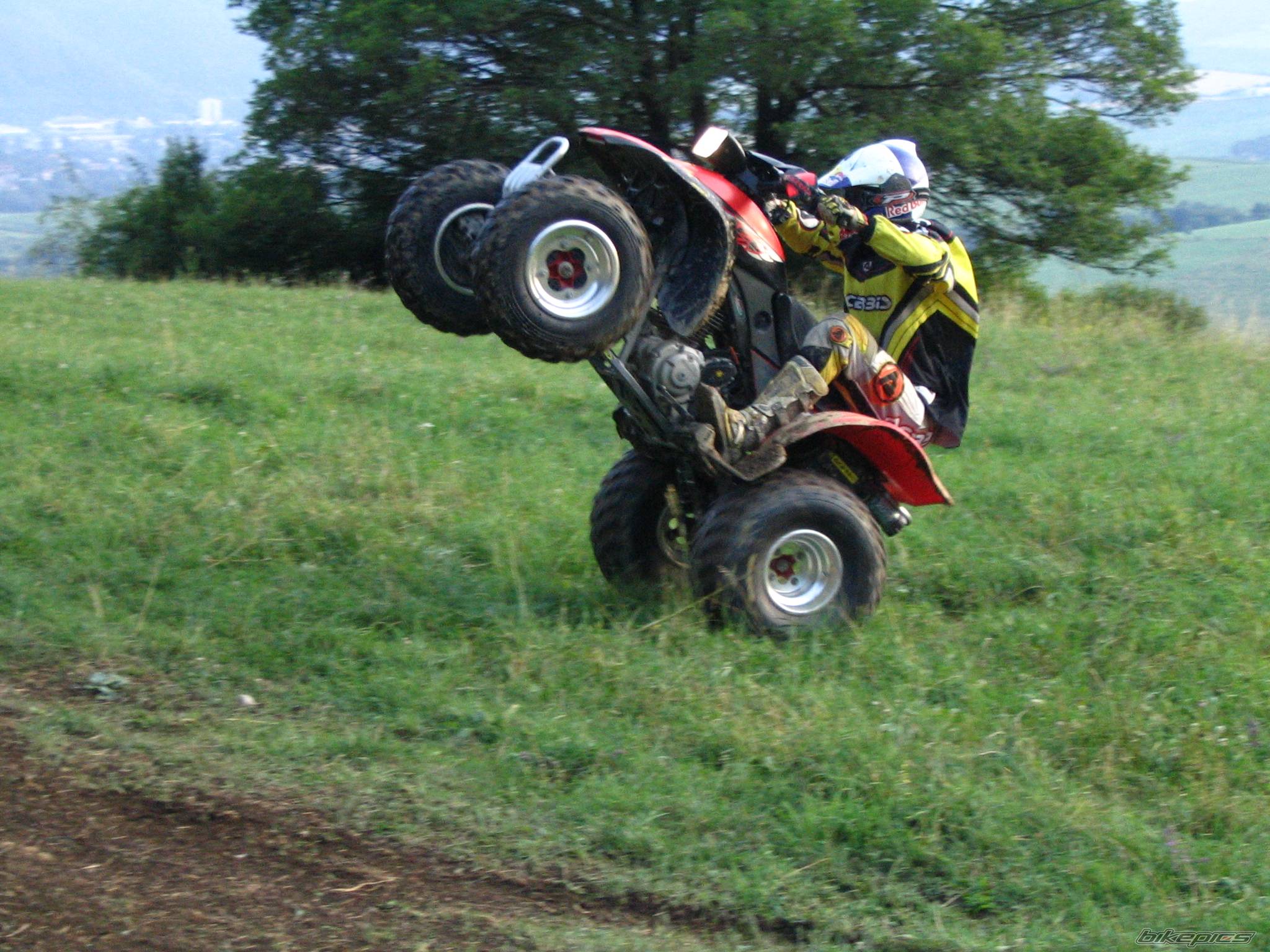 Photo 237893