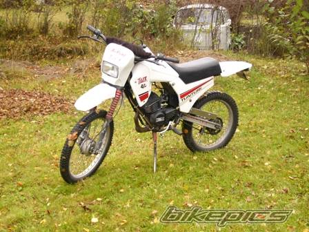 Photo 237894