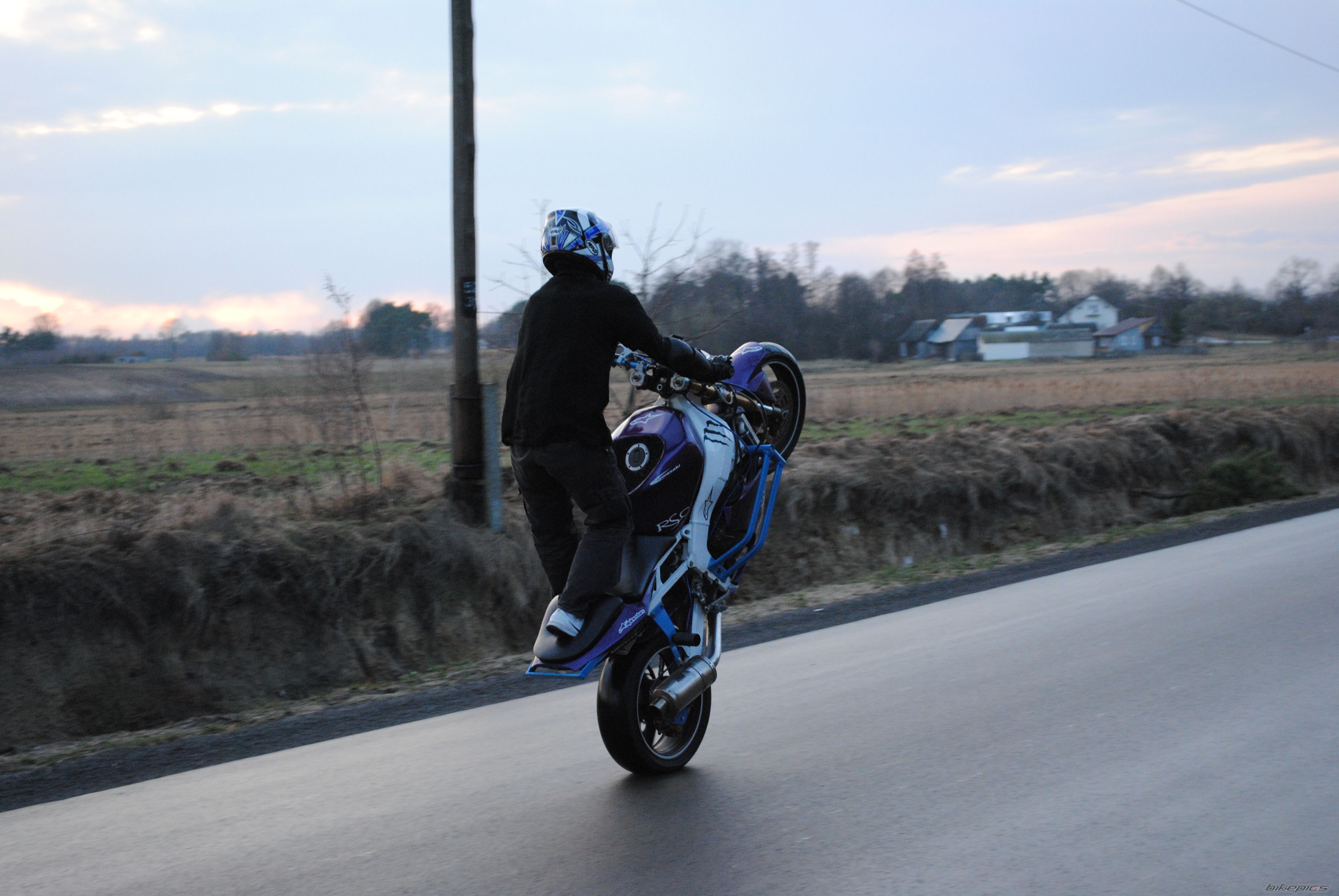 Photo 2378950