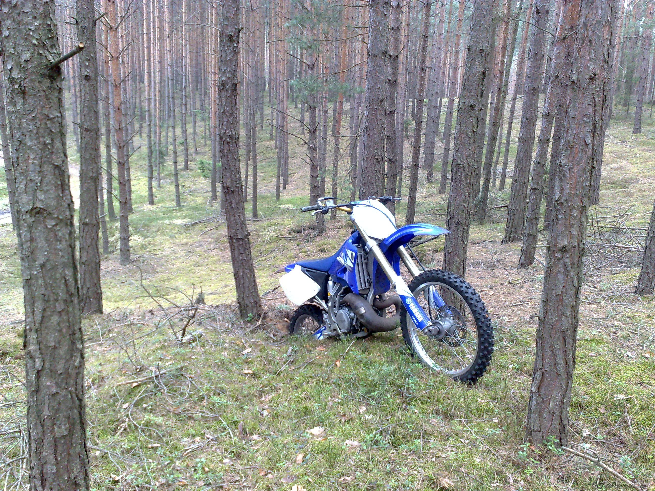 Photo 2378955