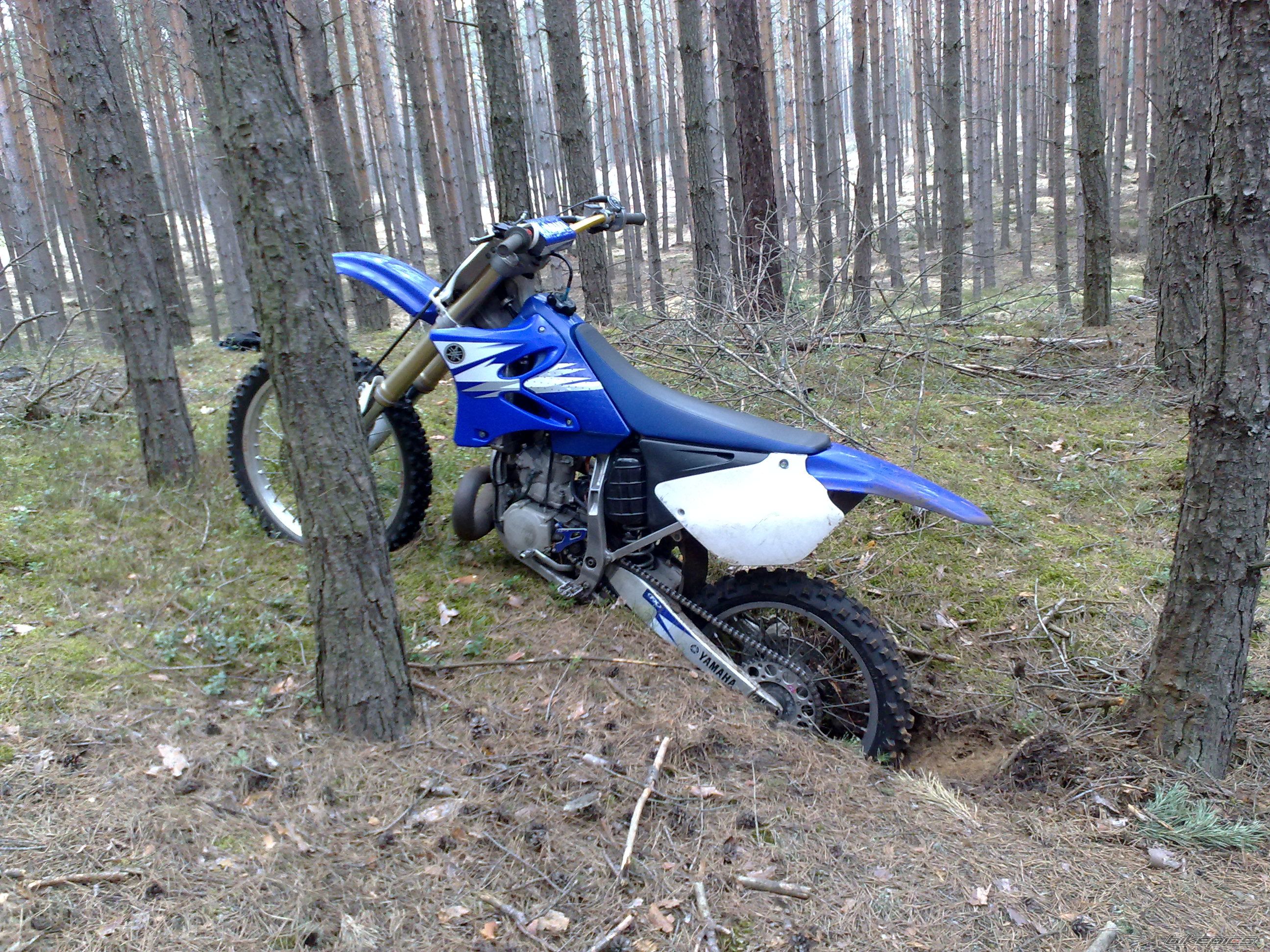Photo 2378956