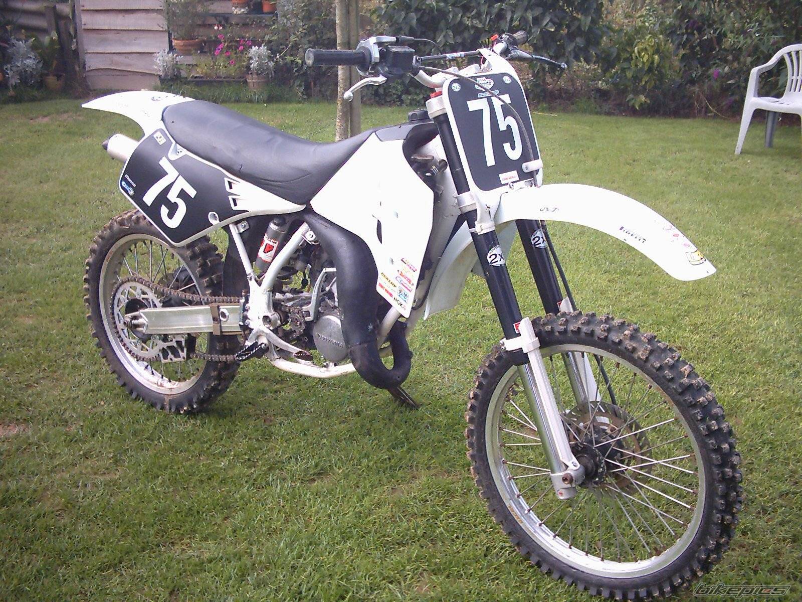 Photo 237897