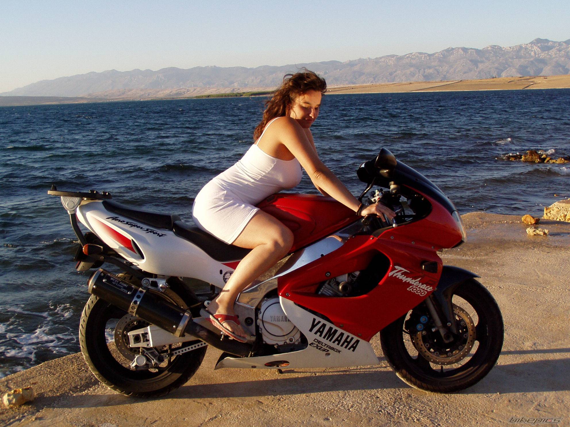 Bike Photo 237899