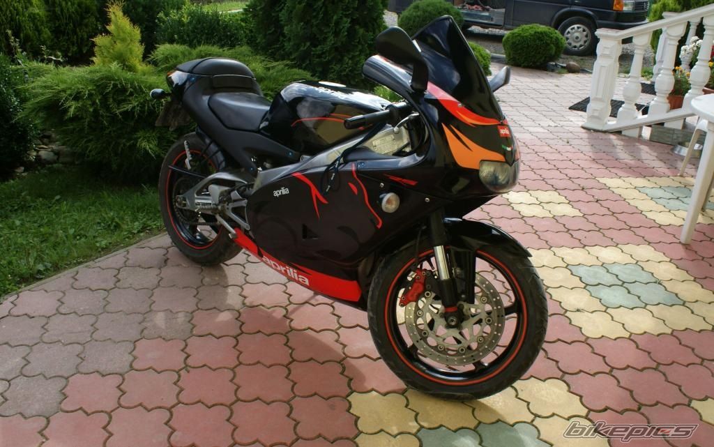 Photo 2379055