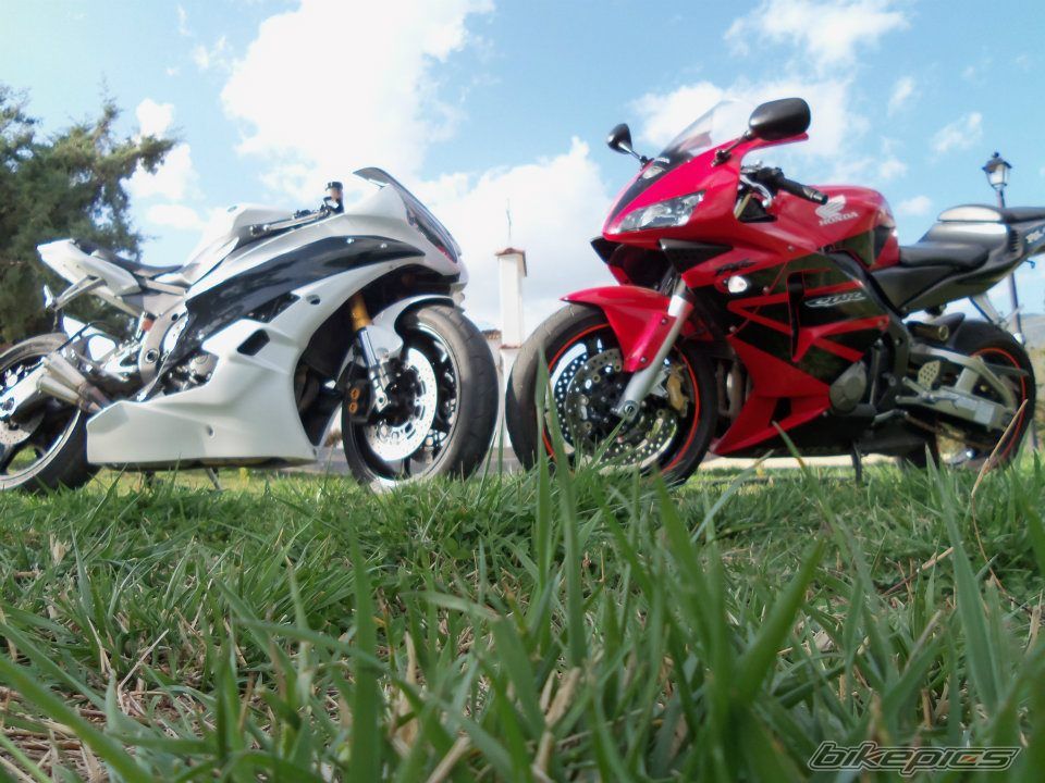 Photo 2379091