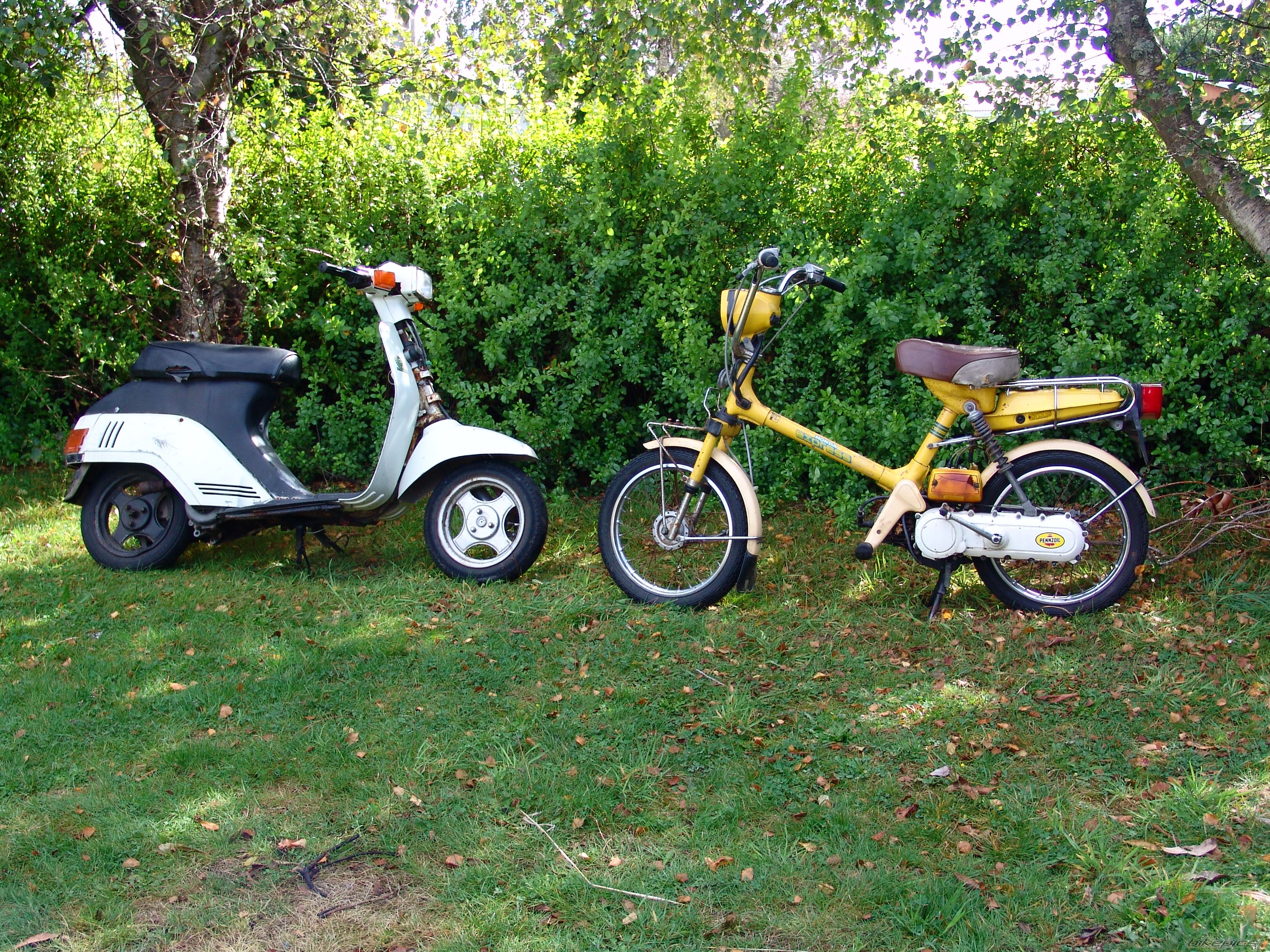 Photo 2379114