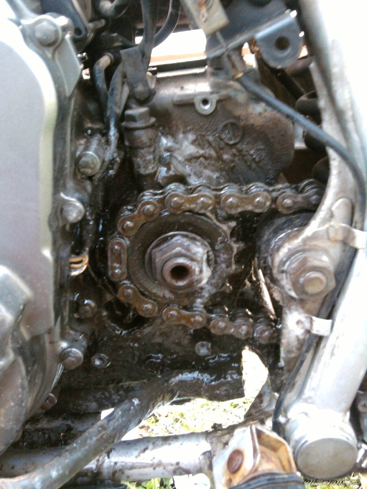 Bike Photo 2379115