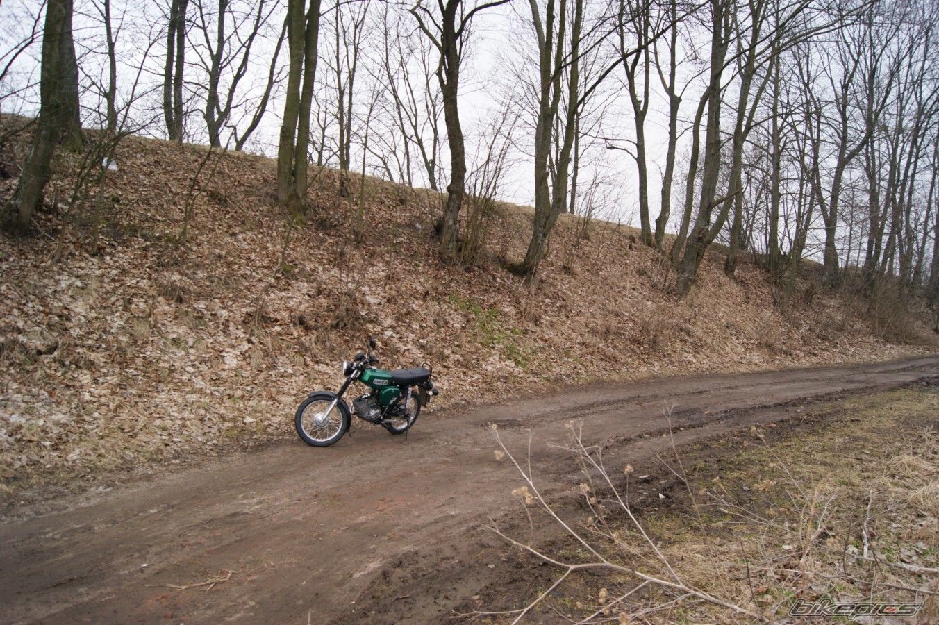 Photo 2379173