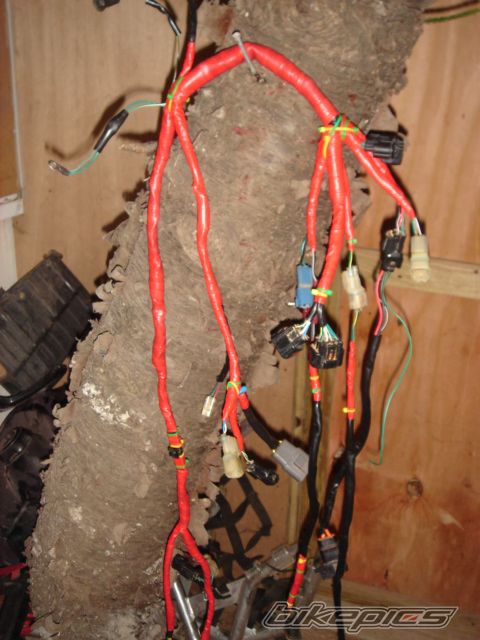 Photo 2379201