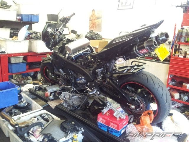 Photo 2379279
