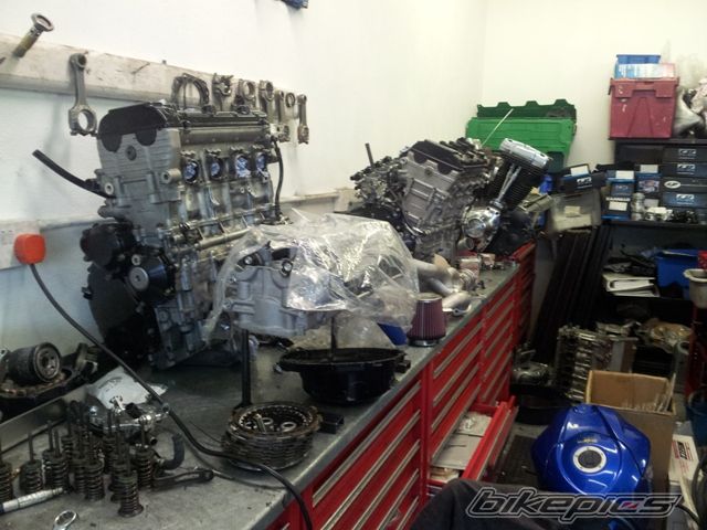 Photo 2379280