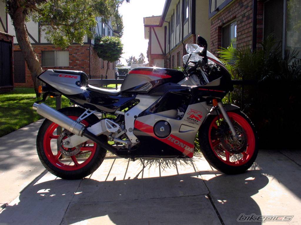 Photo 237929