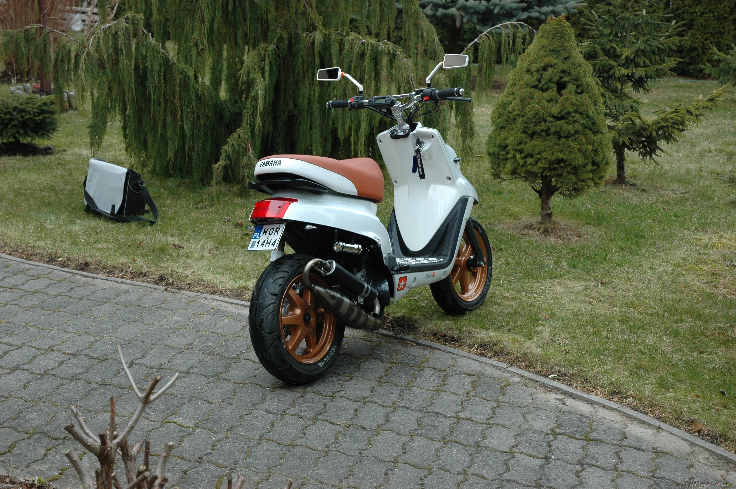 Photo 2379335