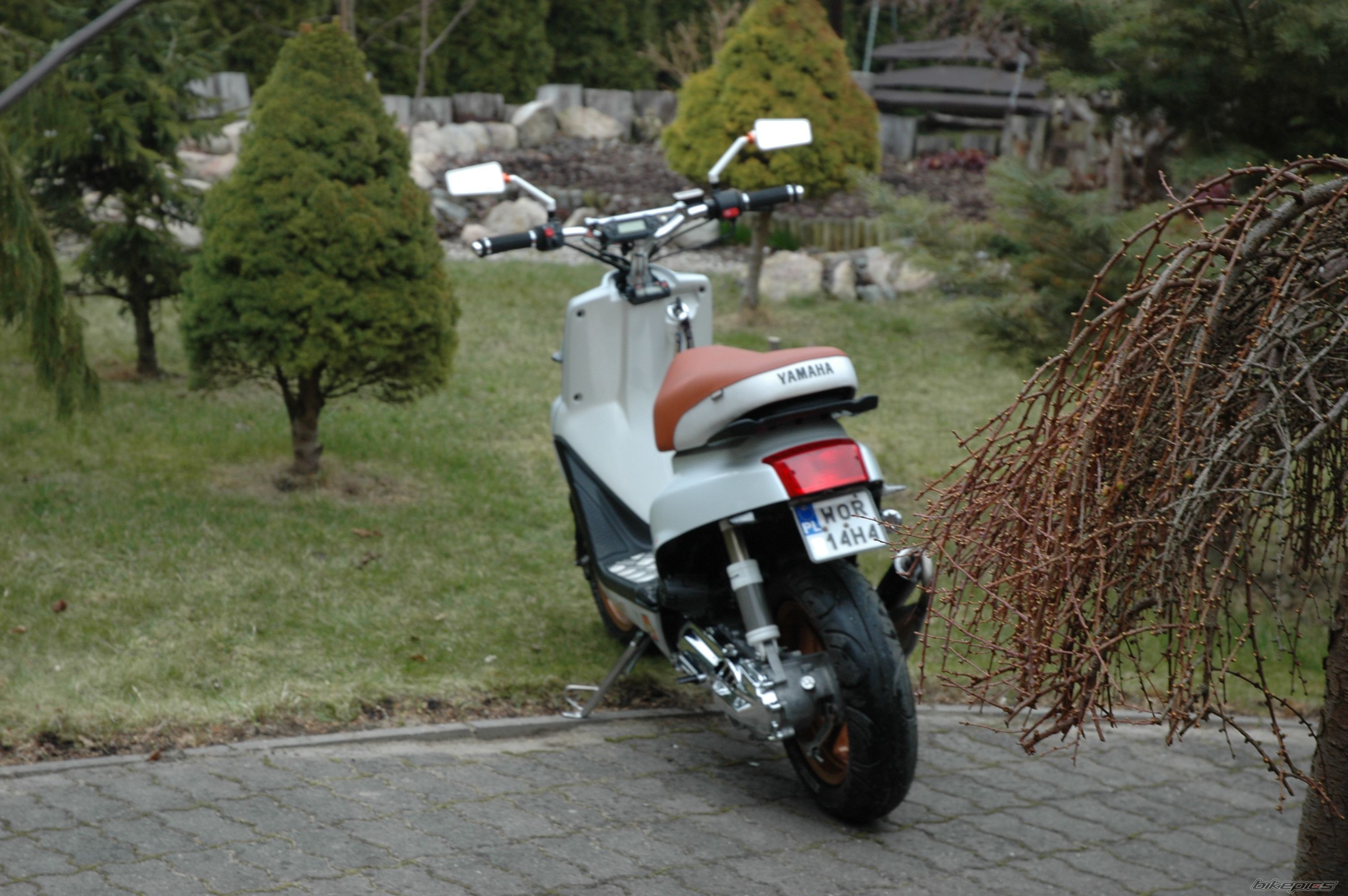 Photo 2379339