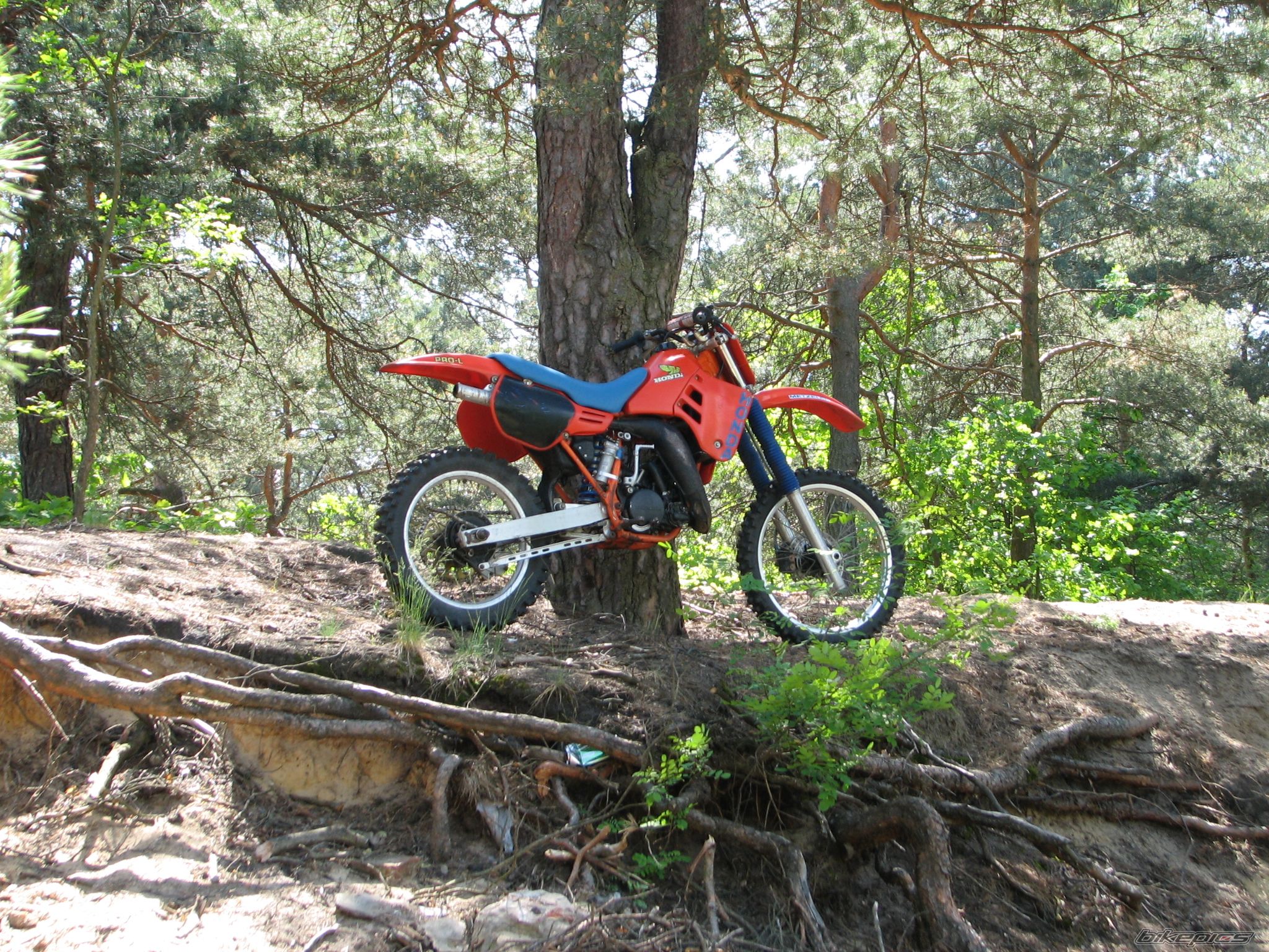 Bike Photo 2379439