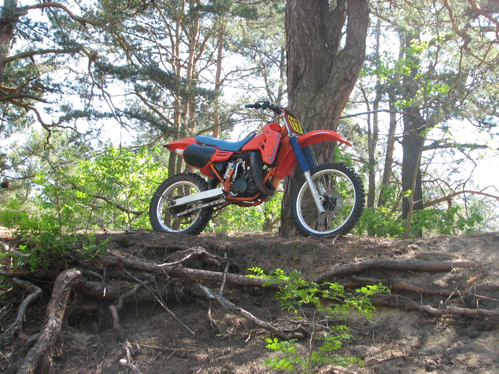 Bike Photo 2379440