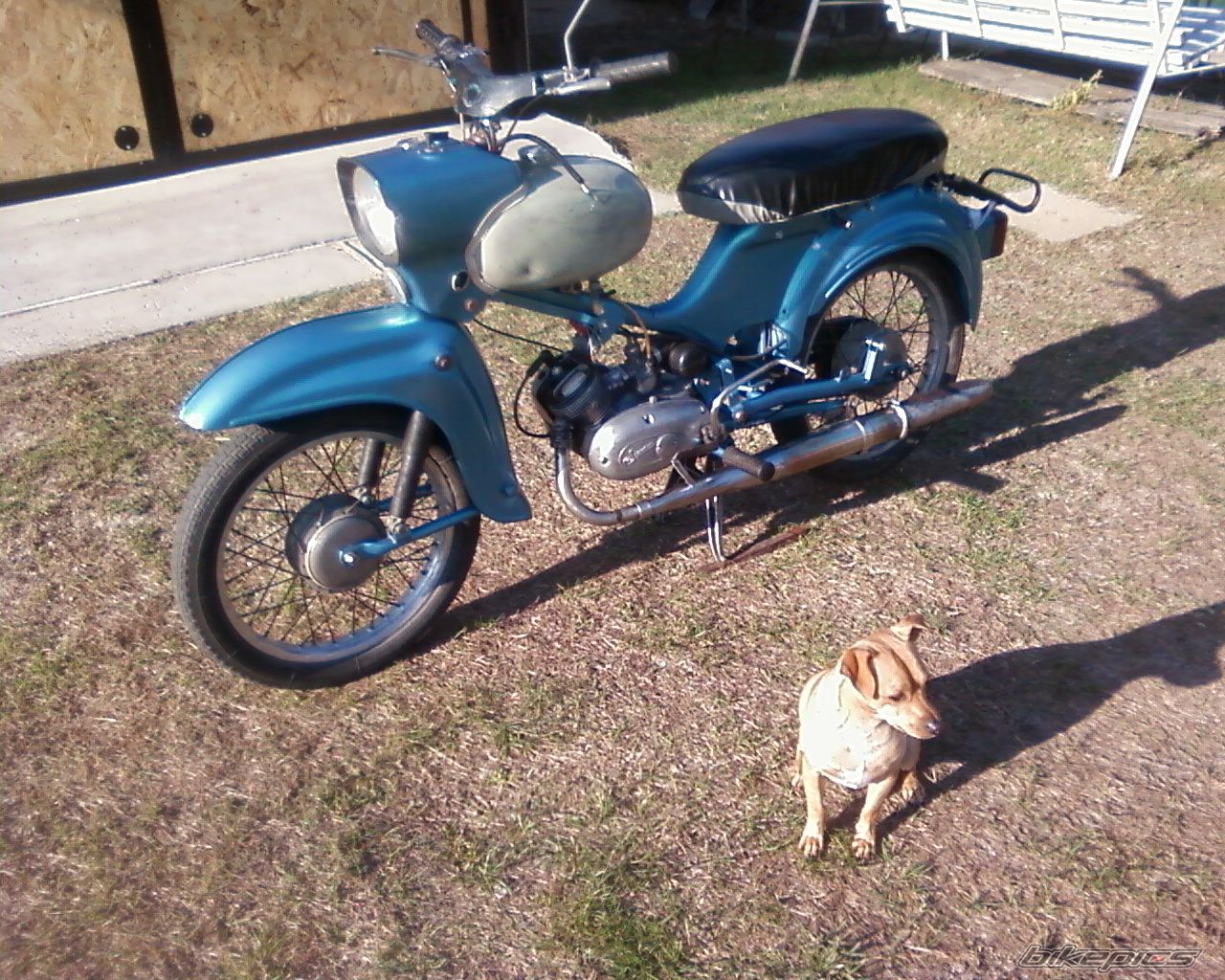 Photo 2379620
