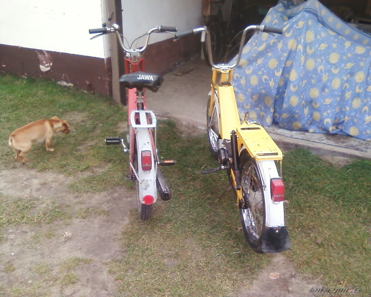 Photo 2379672