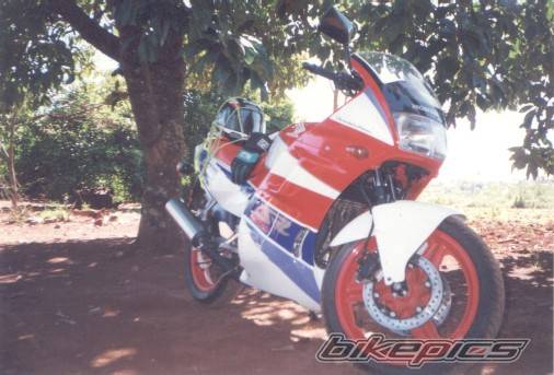 Photo 237979