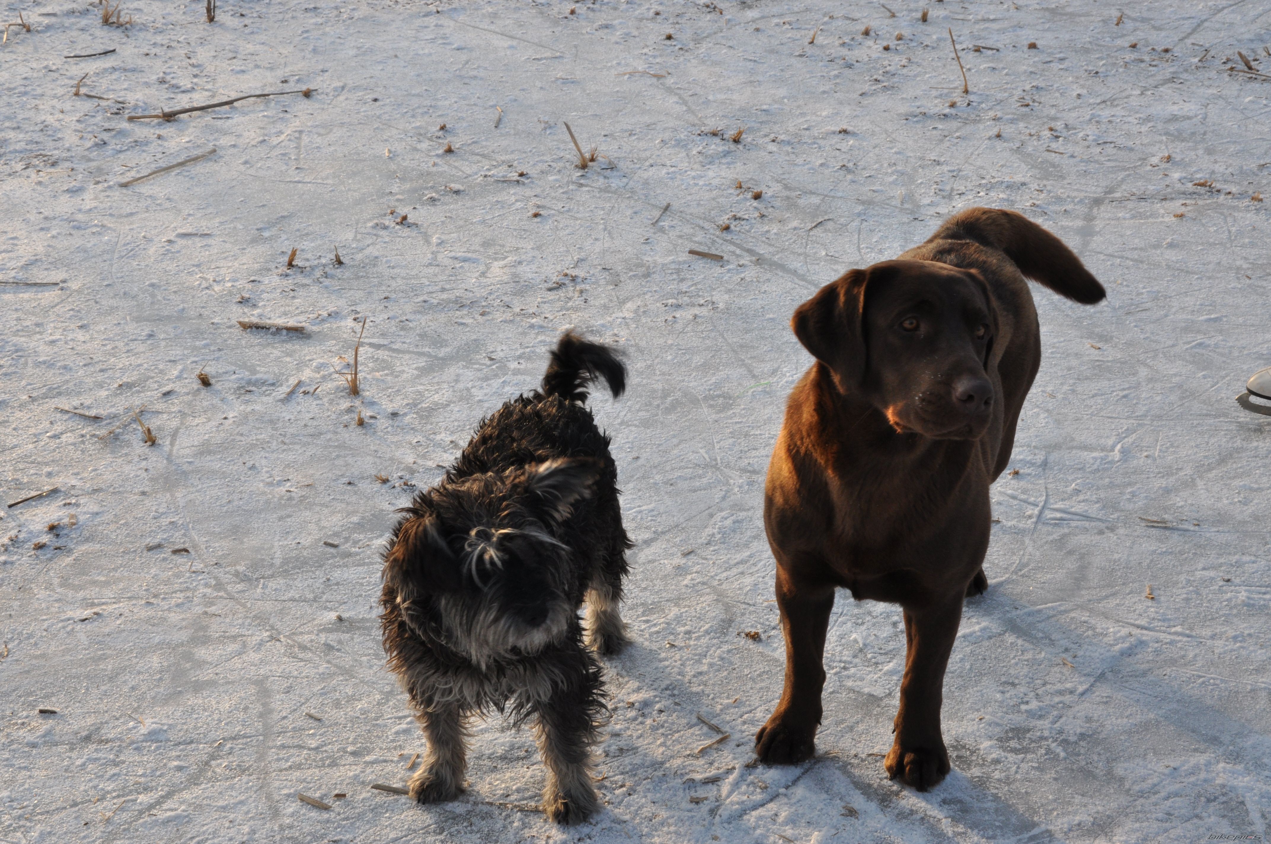 Photo 2379821