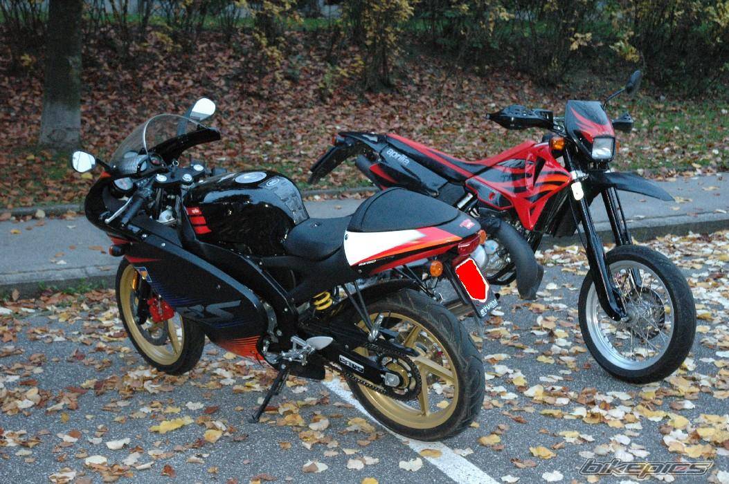 Photo 237990
