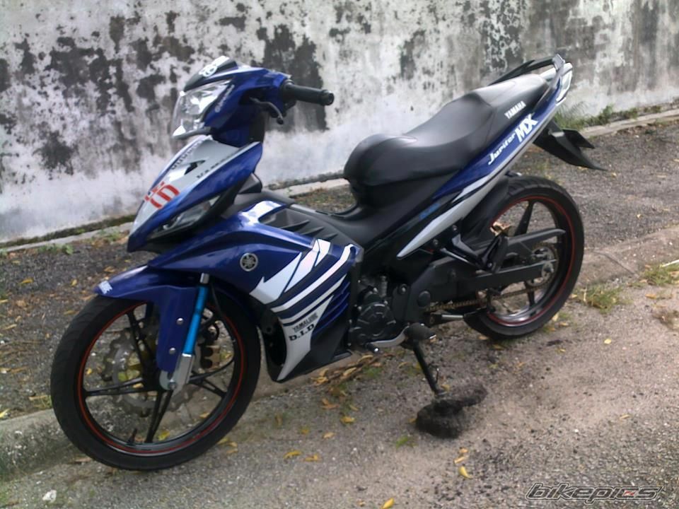Photo 2379925