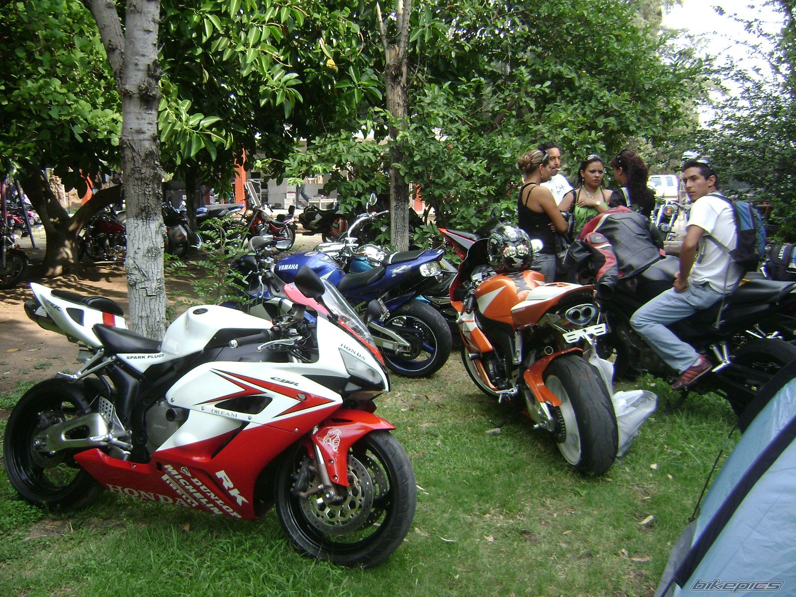 Photo 2380124