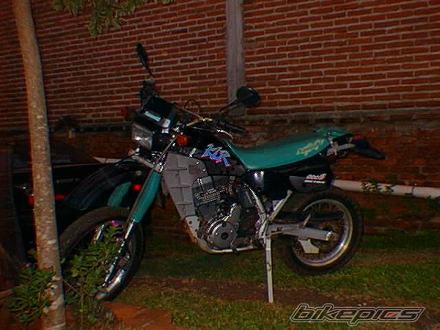 Photo 238025