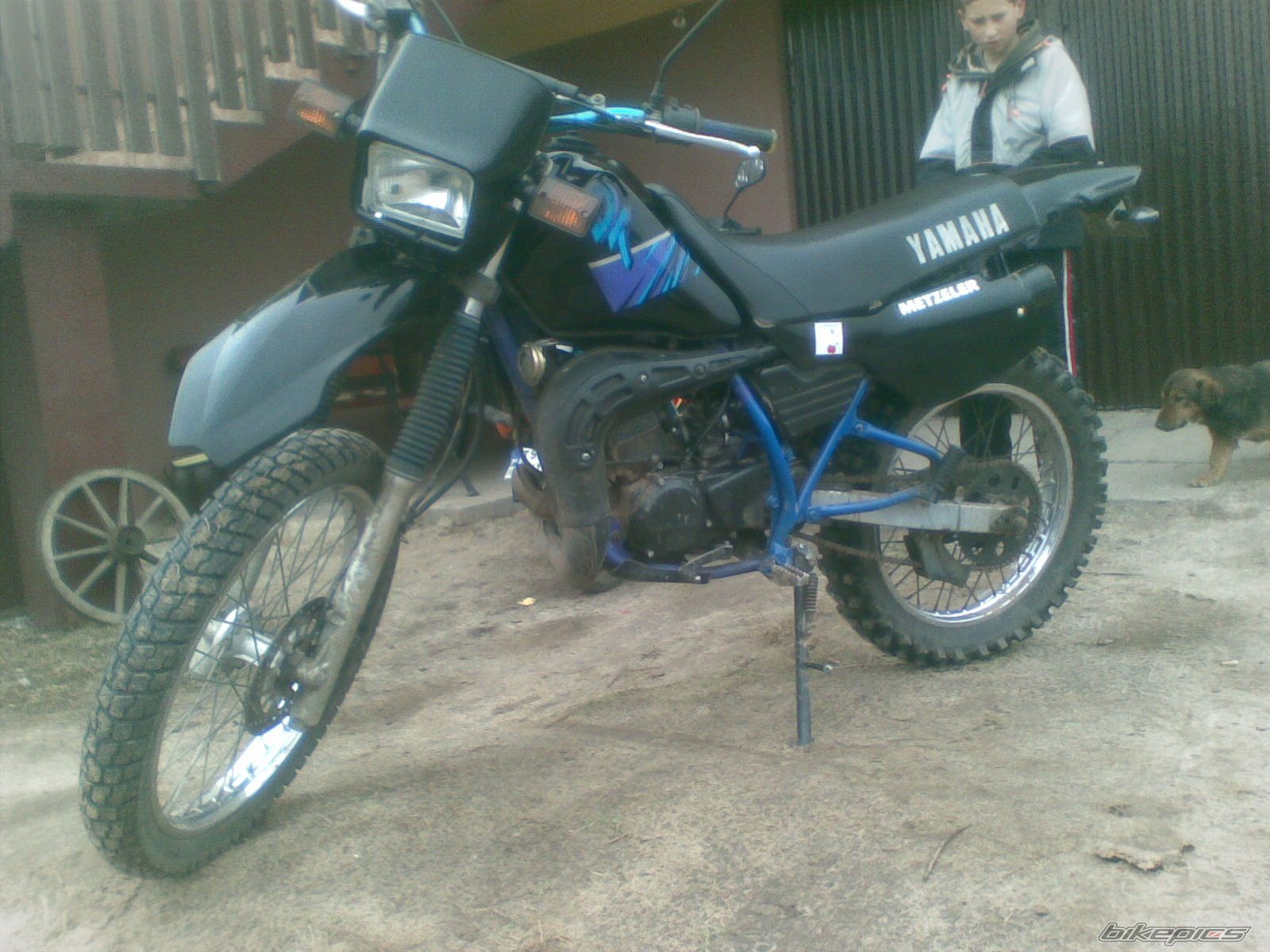 Photo 2380350