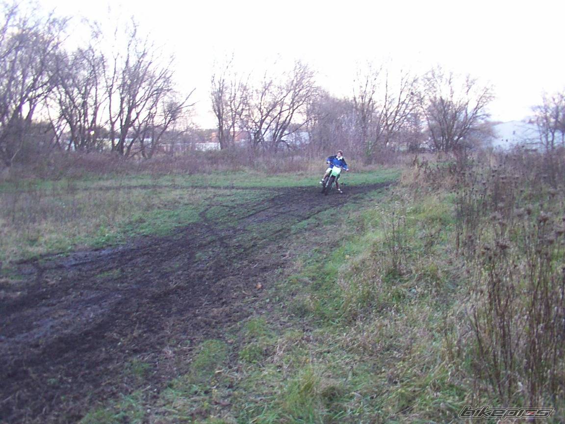 Photo 238041