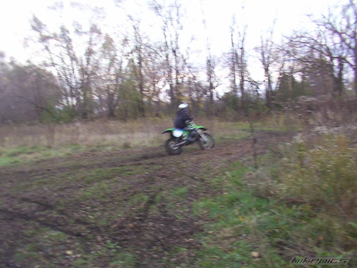Photo 238042